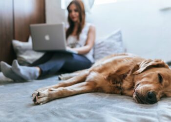 Protecting Your Business: Managing Health and Safety Risks for Remote Workers