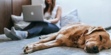 Protecting Your Business: Managing Health and Safety Risks for Remote Workers