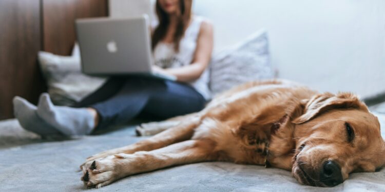 Protecting Your Business: Managing Health and Safety Risks for Remote Workers