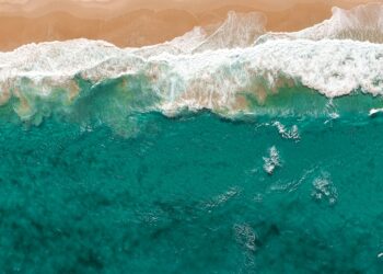 It ain’t easy being “green”: Why the ACCC has greenwashing in its sights