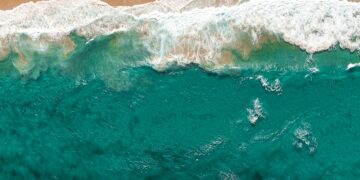 It ain’t easy being “green”: Why the ACCC has greenwashing in its sights